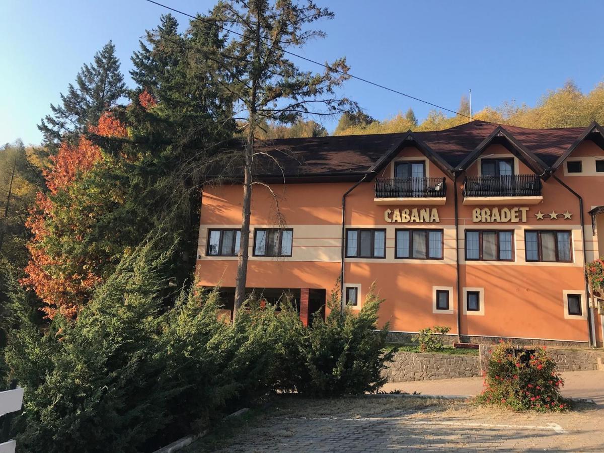 Pensiunea Turistica Cabana Bradet Şimleu Silvaniei Exteriör bild